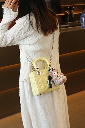CLAREGQI Women Acrylic Handle  - Mini Purse Chain recension och pris