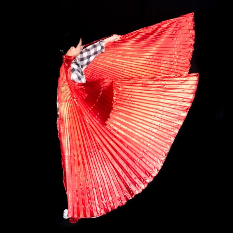 Belly Dance Wings Isis Wings A - Women Bags In Egypt recension och pris